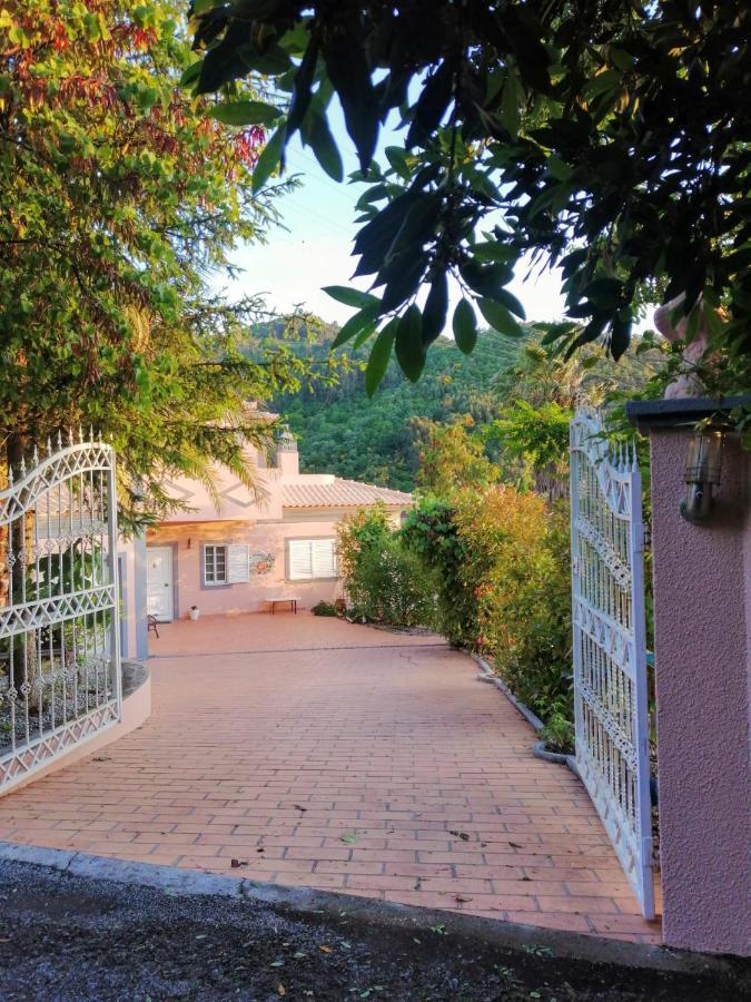 Casa Loureiro - Vista Rio Douro Vila Resende Exterior foto