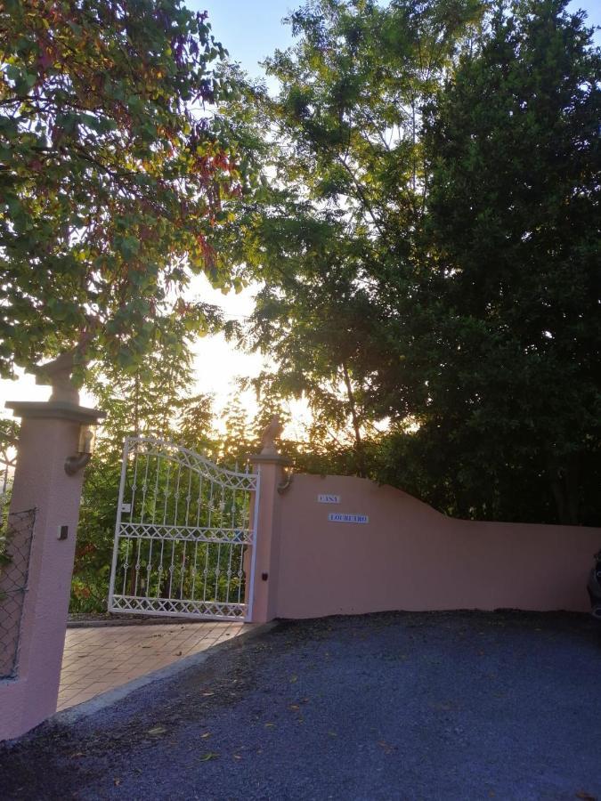 Casa Loureiro - Vista Rio Douro Vila Resende Exterior foto